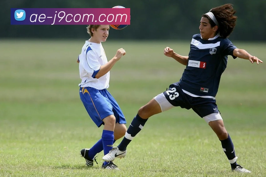 九游会官网服务体系